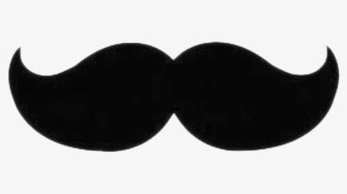 Moustache Png Pic - French Mustache Png, Transparent Png, Free Download