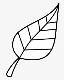 Leaf Fall Leaves Black And White Com Clipart - Green Leaf Clipart Black And White, HD Png Download, Free Download