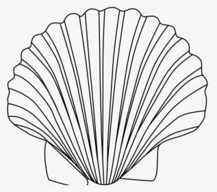 Clip Art Black And - Coquille St Jacques Logo, HD Png Download, Free Download