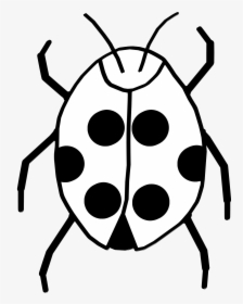 Black And White Bug Clipart - Clipart Black And White Lady Bugs, HD Png Download, Free Download