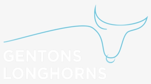 Transparent Longhorns Logo Png - Graphic Design, Png Download, Free Download