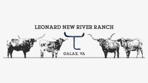 Leonard Farms - Bull, HD Png Download, Free Download