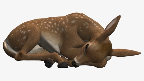 Deer Easter Animal Antler Woman With Horns - Deer Laying Down Png, Transparent Png, Free Download