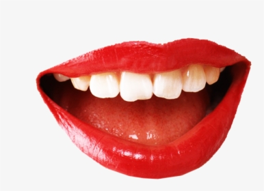 Smiling Mouth Png, Transparent Png, Free Download