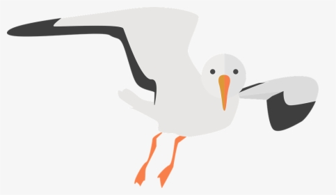 Download Gull Bird Png Transparent Images Transparent - Seagull Clipart Transparent Background, Png Download, Free Download