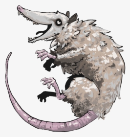 Transparent Possum Png - Illustration, Png Download, Free Download
