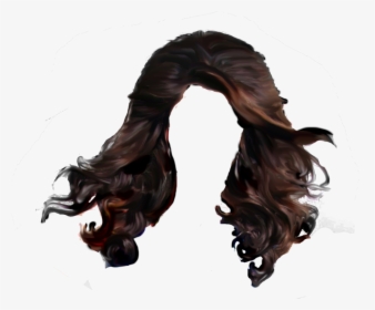 Hair Png Pic - Long Man Hair Png, Transparent Png, Free Download