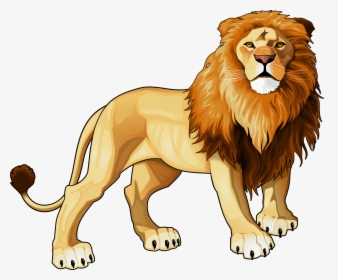 Lion Png Clipart - Transparent Background Lion Clipart, Png Download, Free Download