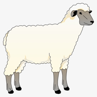 Wooly Sheep Clip Art - Animated Picture Of Sheep, HD Png Download, Free Download