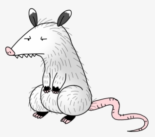 Freeuse Download Opossum By Spice Cartoon - Cartoon Opossum, HD Png Download, Free Download