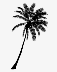 Clipart Free Library Palm Tree Black And White - Palm Tree Silhouette Clipart, HD Png Download, Free Download