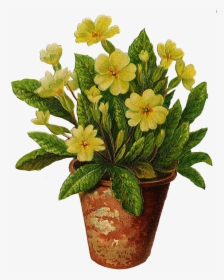 Flower Pot Clipart - Transparent Background Flower Pot Png, Png Download, Free Download