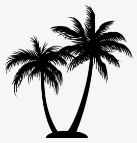 Black And White Palm Tree Png, Transparent Png, Free Download