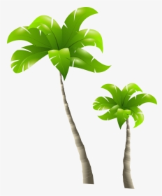 Palm Tree Png Clipart - Tall Tree And Short Tree, Transparent Png, Free Download