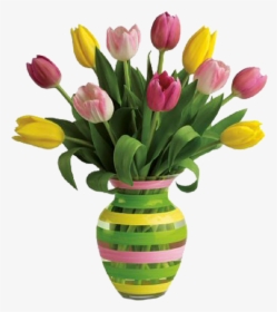 Transparent Flower Pot Png - Meaningful Happy Birthday To Special Friend, Png Download, Free Download
