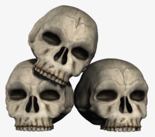 Skeleton Head Png - Halloween Skulls Png, Transparent Png, Free Download