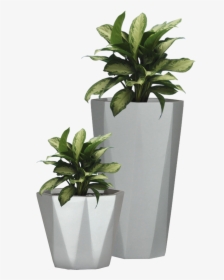 Plant In Pot Png, Transparent Png, Free Download