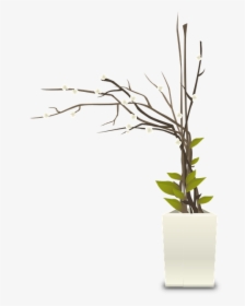 Plants, Pots, White, Houseplants, Indoors, Interior - Flower Pot Pot Png Plant, Transparent Png, Free Download