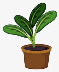 Pot Plant Clipart Transparent - Pot Plant Png Clipart, Png Download, Free Download