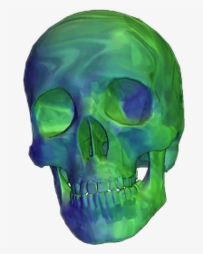 Transparent Skull Png Tumblr - Skull Gif Transparent Background, Png Download, Free Download