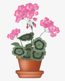 Clip Art Of A Geranium In A Flower Pot - Pot Of Geraniums Clipart, HD Png Download, Free Download