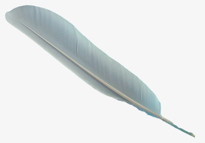 Feather Png Image With Transparent Background - Transparent Background Feather Clipart, Png Download, Free Download