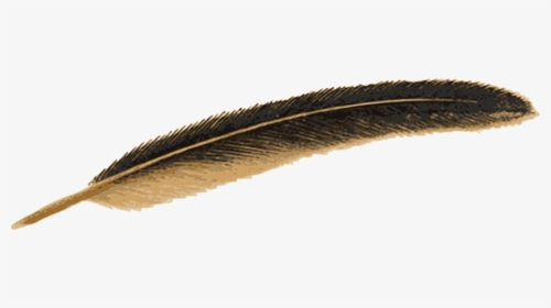 Download Feather Png Image - Old Feather Pen Png, Transparent Png, Free Download