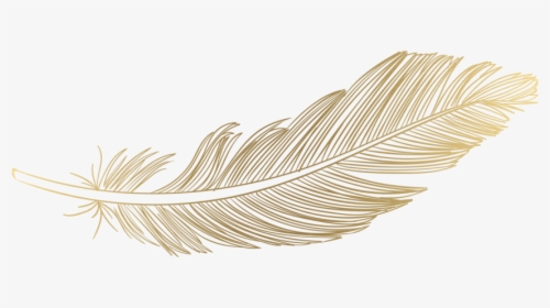 Feather Png Download Image - Gold Transparent Feather Png, Png Download, Free Download