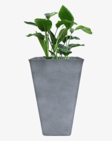 Tall Planter 26 Inch Large Rectangular Resin Clay Flower - Outdoor Planters, HD Png Download, Free Download