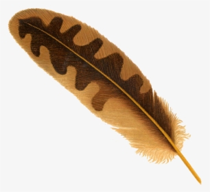 Feather Png Transparent Image - Transparent Feather Png, Png Download, Free Download