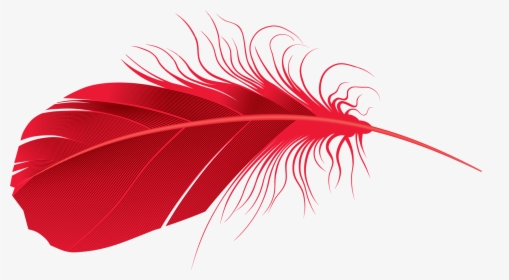 Transparent Background Feathers Png Transparent, Png Download, Free Download