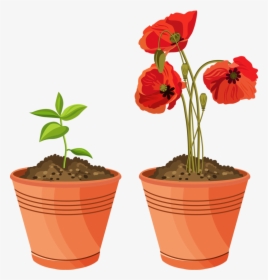 3 House Clipart, Potted Plants, Flower Pots, Clip Art, - Plant Pot Clip Art, HD Png Download, Free Download