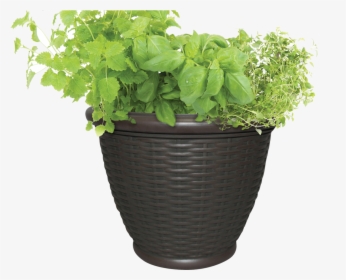 Full-planter - Outdoor Flower Pot Png, Transparent Png, Free Download