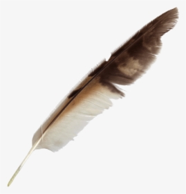 Feather Png Image File - Feather Pen Png Transparent, Png Download, Free Download