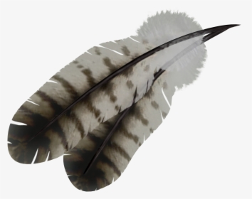 Native American Feather Png, Transparent Png, Free Download