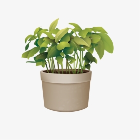 Pictures Of Potted Plants Best Of Flowerpot Plant Vector - Plant In Pot Png, Transparent Png, Free Download