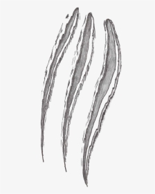 Transparent Scratches Png - White Claw Scratch Png, Png Download, Free Download