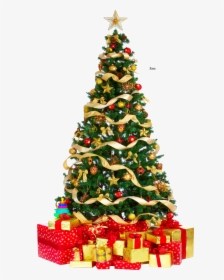 Christmas Tree Png Free Download, Transparent Png, Free Download
