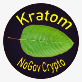 Kratom - Tree, HD Png Download, Free Download