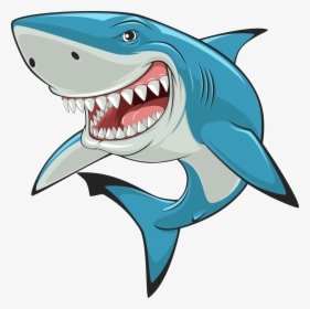 Cartoon Shark - Cartoon Image Of Shark, HD Png Download - kindpng