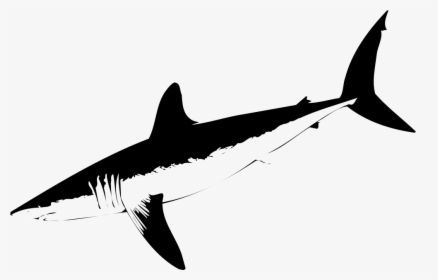 Shark - Billfish, HD Png Download, Free Download