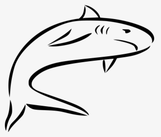 Shark - Portable Network Graphics, HD Png Download, Free Download