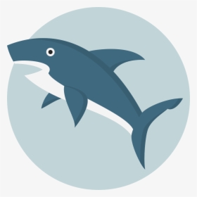 Shark Icon Png, Transparent Png, Free Download