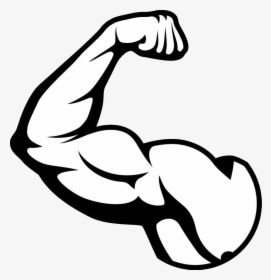 Muscle Arm Png Picture Muscles Clipart Black And- - Muscle Png, Transparent Png, Free Download
