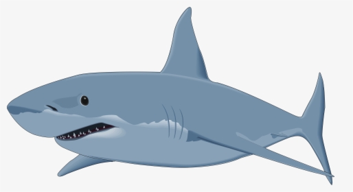 Grab And Download Sharks Png Picture - Great White Shark Clipart Png, Transparent Png, Free Download