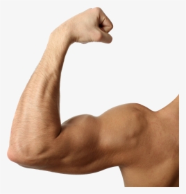 Muscular Arm Png - Muscular Arm Transparent Background, Png Download, Free Download