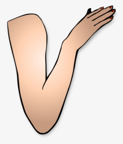 Flexing Arm Png - Girl Arm Clipart, Transparent Png, Free Download