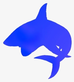 Transparent Shark Fish Png Icon - Shark, Png Download, Free Download