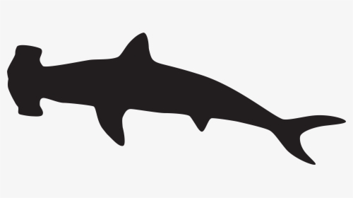 Hammerhead Shark Silhouette Scalloped Hammerhead Clip - Hammerhead Shark Clip Art, HD Png Download, Free Download