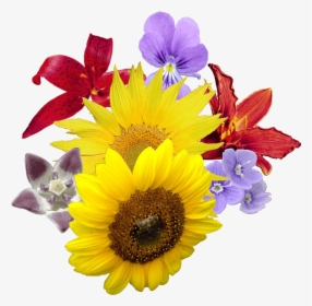 Bouquet Flowers Png - Flower Theme Kitty Party Games, Transparent Png, Free Download